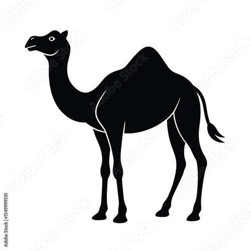 Camel Desert Animal Illustration  