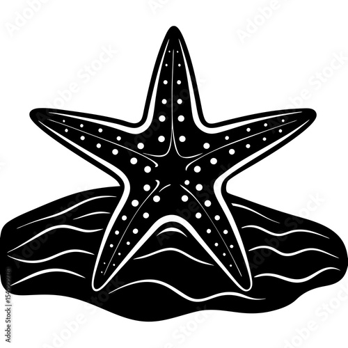 Starfish on sand isolated on white background