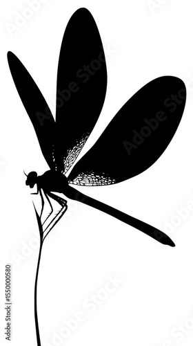 an illustration of a black silhouette of a dragonfly with wings spread black, dragonfly, flower, illustration, insect, silhouette, wing , Generative art.