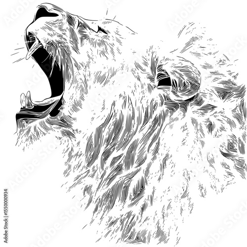 a black and white drawing of a lion art, black, drawing, head, illustration, lion, open , Generative art.