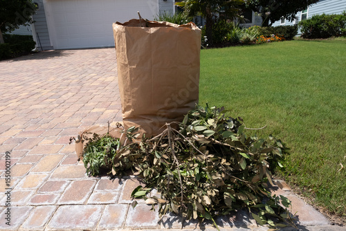 Obraz na plátne Bag of yard waste and trimmed branches in Front of House waiting to be picked up