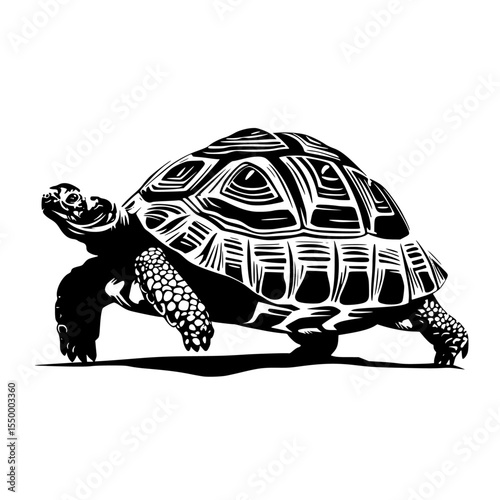 a black and white image of a turtle on a white background black, illustration, image, silhouette, tortoise, turtle , Generative art.