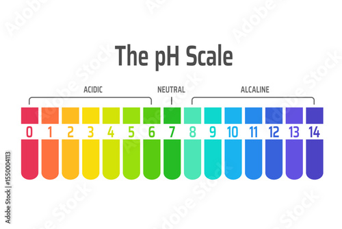 pH scale. Acid base chart.  Diagram of acidity and alkalinity levels