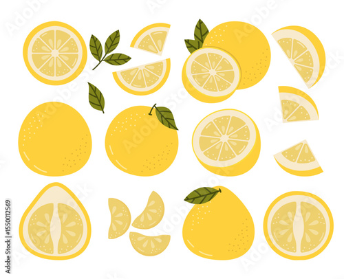 Pomelo Vector Illustration Isolated Set. Whole Summer Fruit with Halves, Slices and Leaves. Pink Pumello Collection.