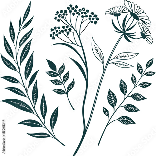 Minimal Botanical Vector Illustration – Wildflowers & Leaves Silhouette