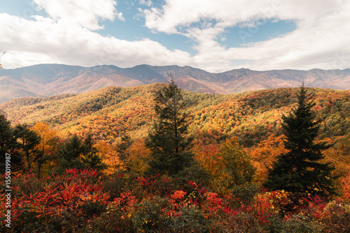 North Carolina and its beauty