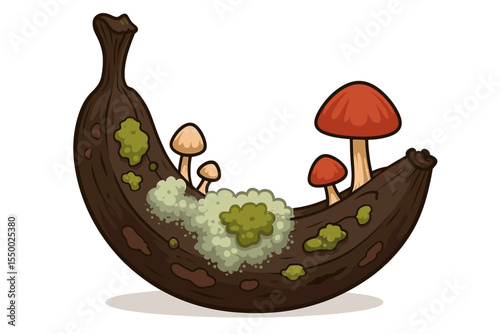 Rotten banana with mold, fungus, mushrooms. Decay process, organic decomposition, spoiled fruit, nature cycle, food waste, cartoon vector illustration. Isolated white background concept art