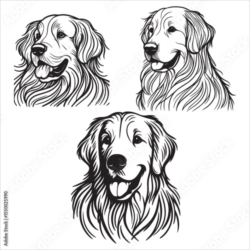 Golden Retriever Dog Line Art Vector