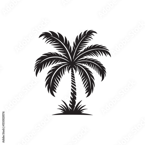 Palm Tree Vector (1).eps