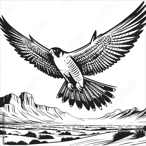 Peregrine Falcon Soaring Over Desert