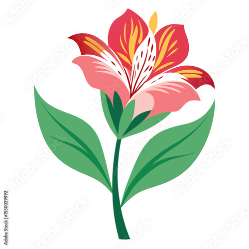 vector illustration of lily