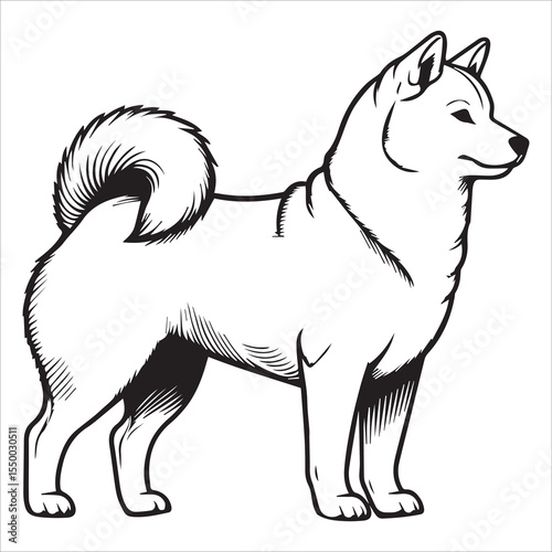 Shiba Inu Dog Minimalist Line Art Vector