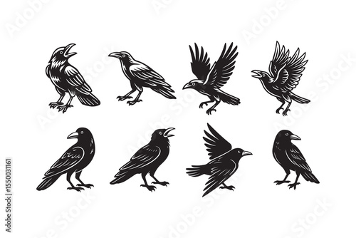 Collection of crow vector illustrations