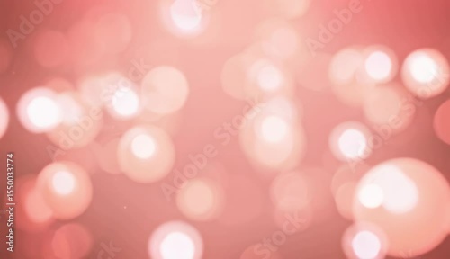 Beautiful sparkling lights create a stunning atmosphere during the evening event