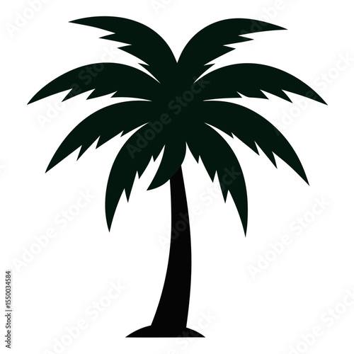 palm tree silhouette