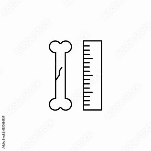 bone ruler measurement icon sign vector
