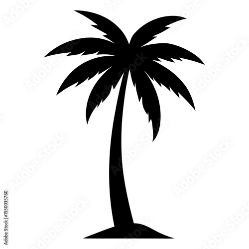 silhouette of palm tree