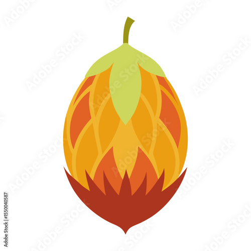 Minimal Rambutan Fruit Vector Illustration