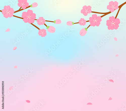 cherry blossom branches with falling petals on pink and blue background