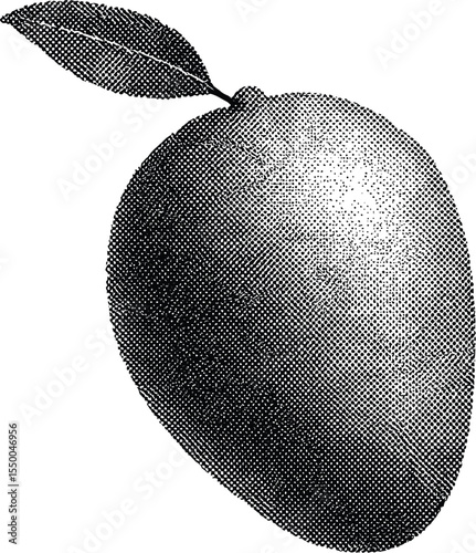 Mango in Black and White: A detailed and artistic, close-up, black and white sketch of a ripe, juicy mango, complete with its stem and a single leaf, evoking simplicity and natural beauty.