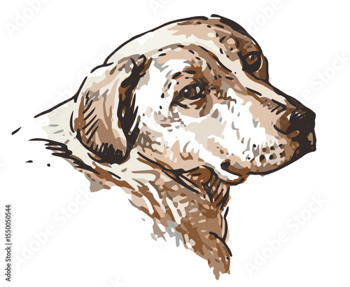 Hand drawn portrait guard dog looking, cute, friendly, domestic animal, vector realistic illustration isolated on white
