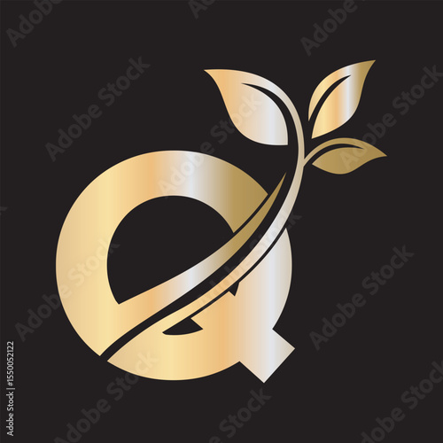 Initial Green Leaf Logo combine with letter Q vector template	