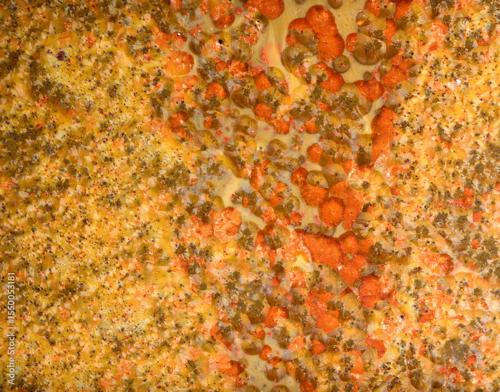 custom made wallpaper toronto digitalMacro of pottery glaze