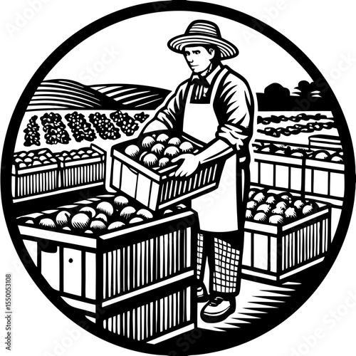Farm Apple Harvest
