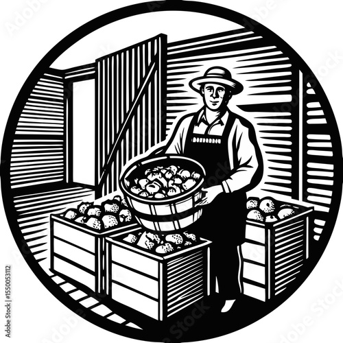 Farm Potato Harvest