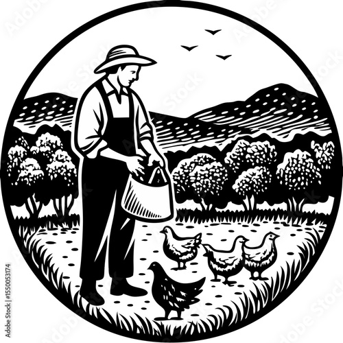 Farm Chicken Feeding