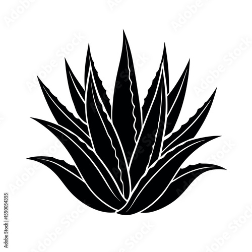 Aloe Vera Plant Drawing Herbal Outline Design
