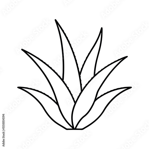 Aloe Vera Plant Outline Vector Collection