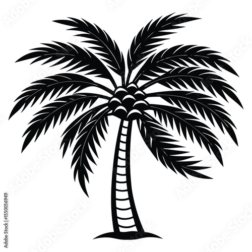 Tropical Coconut Tree Vector Illustration