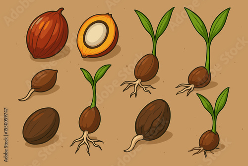 Palm Seeds Germination Growth Stages Set. Botanical Sprouting Process, Seedling Evolution, Root and Leaf Development, Tropical Plant Life Cycle. Vector Illustration on Natural Brown Background