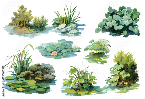 Set of drawings of pond and lake plants