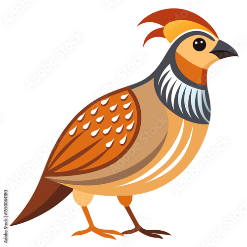 vector illustration of cartoon chicken