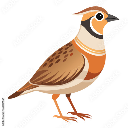 bird on a white background