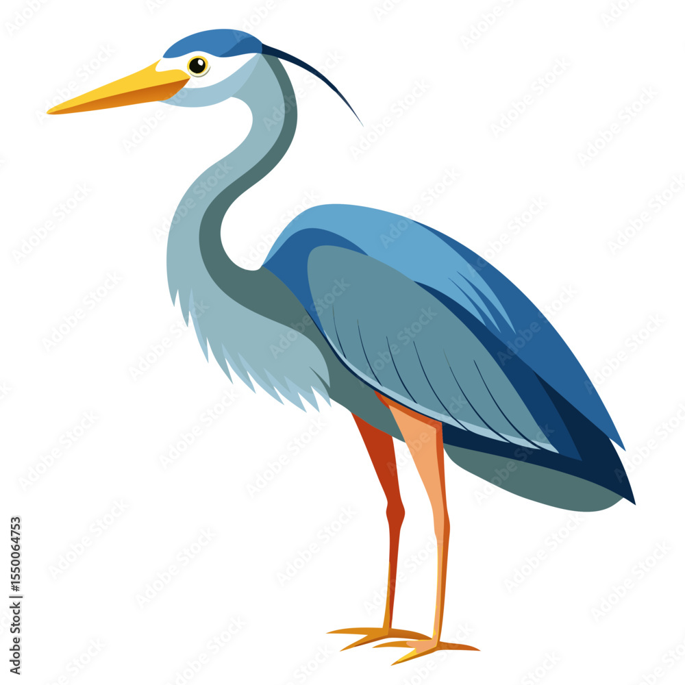 Fototapeta premium great blue heron