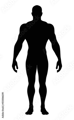 Bodybuilder silhouette muscular man fitness training gym workout strong male figure shape full
