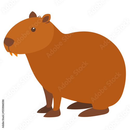 illustration of a cartoon squirrel