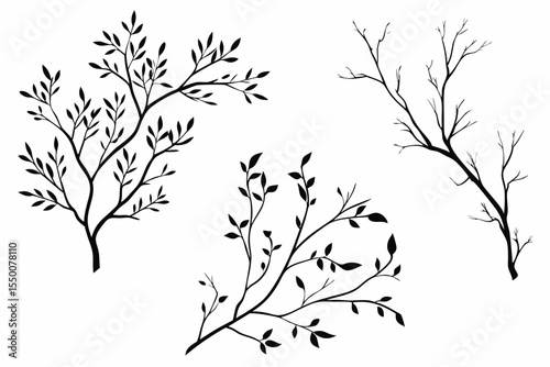 Simple Black and White Branches and Leaves Silhouettes