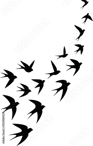 Flock Birds SVG Cut Files for Cricut & Silhouette