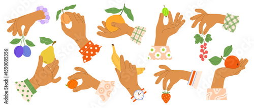 Human hands holding fruits: strawberry, apple, currant, plum, apricot, peach, pear, orange, grapefruit, gooseberry, banana. Cute vector illustration of human palm gestures harvesting in garden, farm.