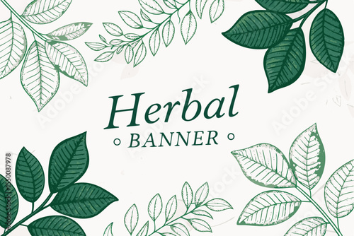 Herbal Banner & Leaf Silhouettes Vector – Minimal Botanical Frames and Foliage Icons | Natural Elements for Organic Packaging, Labels, Eco Branding, Wedding Design & DIY Crafts


