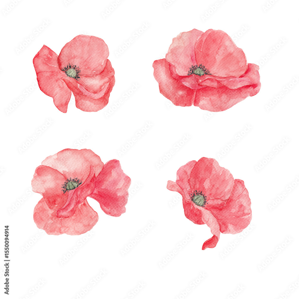custom made wallpaper toronto digitalRed poppies, watercolor. Texture. Watercolor painted poppies. Summer. Spring, May. Set of elements for decoration. Sublimation elements. Spring wildflowers. Icelandic poppies.