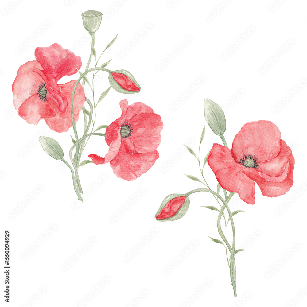 custom made wallpaper toronto digitalWatercolor painted poppies. Lavender. Poppy lavender bouquet. Flower bouquet. Spring, May. Set of elements for decoration. Sublimation elements. Spring wildflowers. Icelandic poppies.