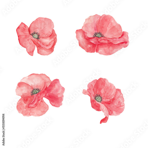 Wallpaper Mural Red poppies, watercolor. Texture. Watercolor painted poppies. Summer. Spring, May. Set of elements for decoration. Sublimation elements. Spring wildflowers. Icelandic poppies. Torontodigital.ca