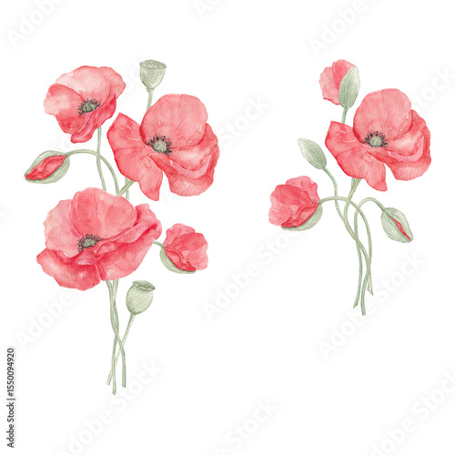 Wallpaper Mural Watercolor painted poppies. Lavender. Poppy lavender bouquet. Flower bouquet. Spring, May. Set of elements for decoration. Sublimation elements. Spring wildflowers. Icelandic poppies. Torontodigital.ca
