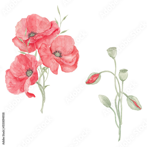 Wallpaper Mural Watercolor painted poppies. Lavender. Poppy lavender bouquet. Flower bouquet. Spring, May. Set of elements for decoration. Sublimation elements. Spring wildflowers. Icelandic poppies. Torontodigital.ca