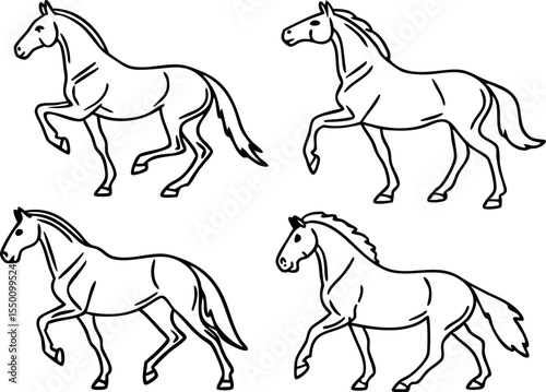 Eight Horse Poses Line Art Vector Set Black White horses
